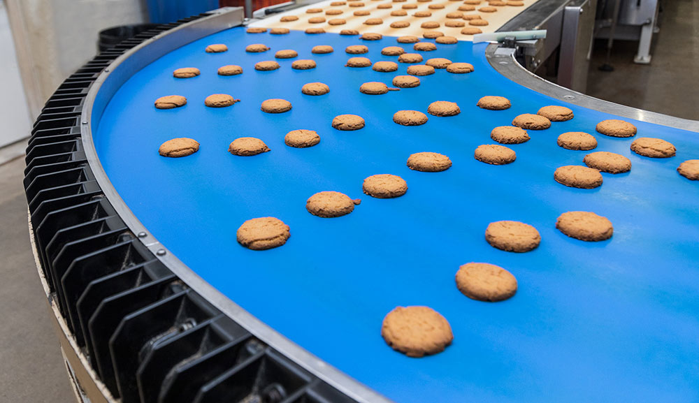 Conveyer Belt of Cornish Fairings