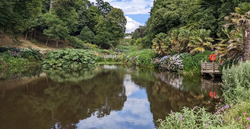 Discover the Best Places to Indulge in a Cream Tea in Cornwall